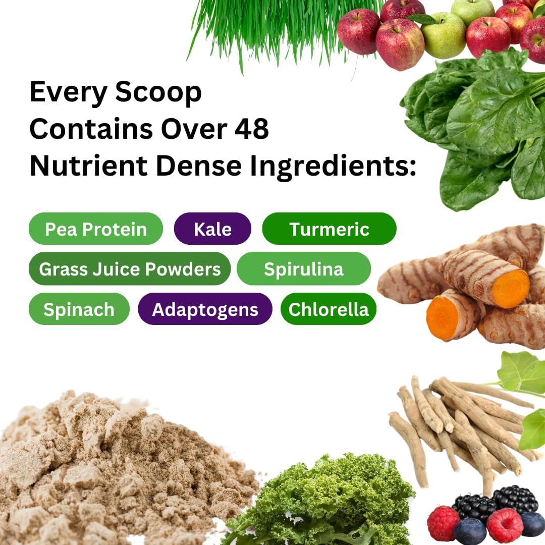 Paradise Herbs ORAC Energy Protein & Greens Powder - Unflavoured, 15 Servings