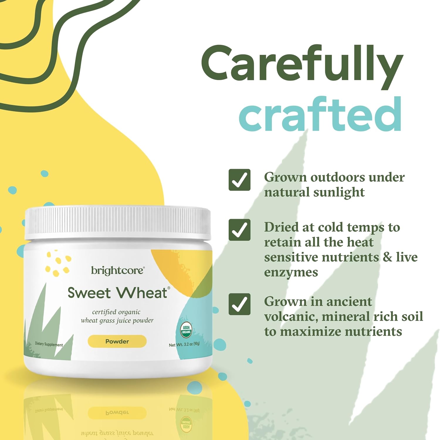 Brightcore Nutrition Sweet Wheat Wheatgrass Juice Powder – Super Greens for Digestive Health & Immune Support, 90g