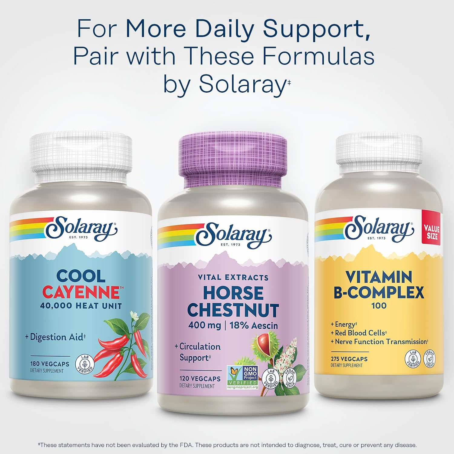 SOLARAY Horse Chestnut Extract 400 mg – Standardized to 72 mg Aescin with Butcher's Broom – Vein & Circulation Support – Vegan, Non-GMO – 120 Veg Caps