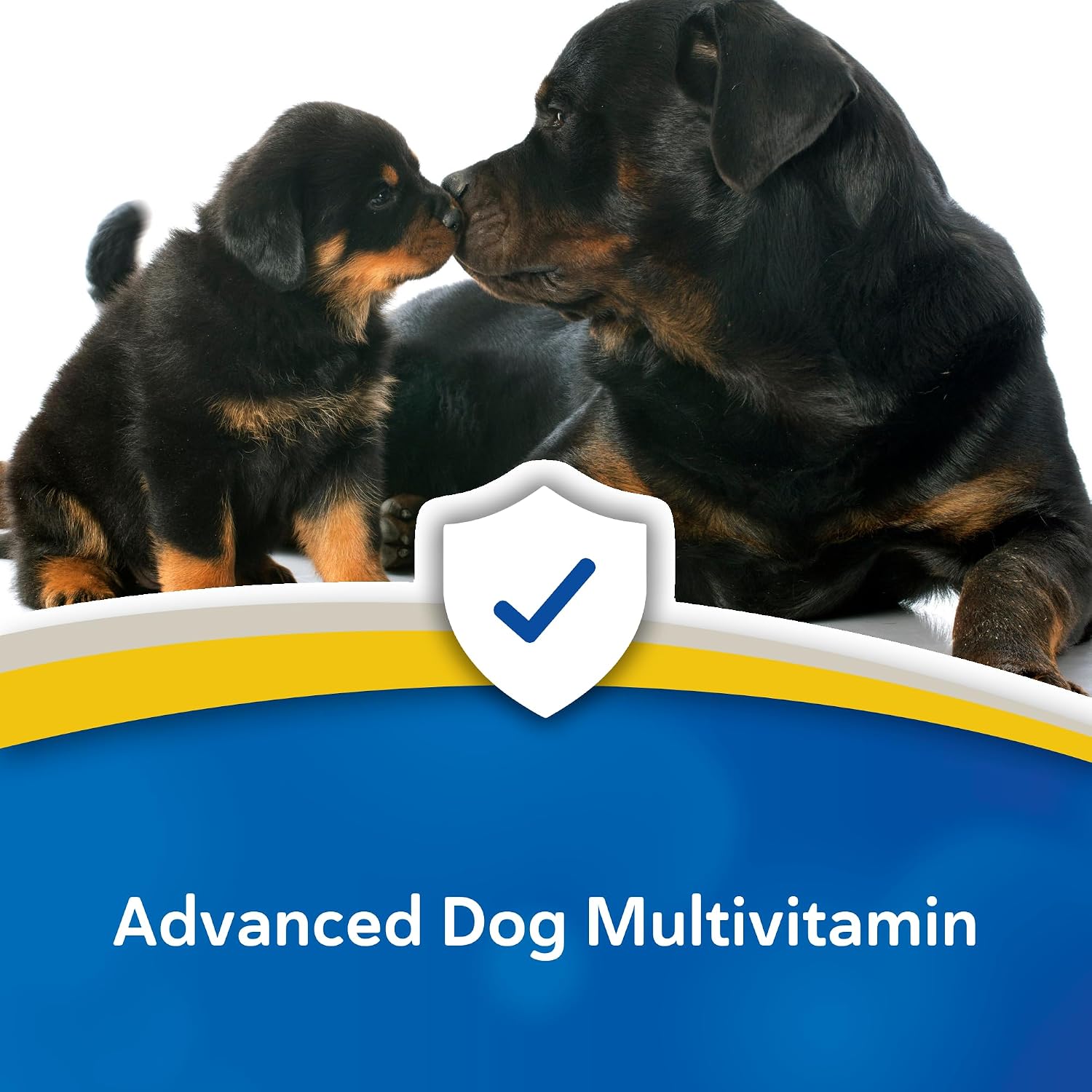 Doc Roy's Daily Care Extra Canine - Advanced Multivitamin Supplement for Dogs (365 Tablets)