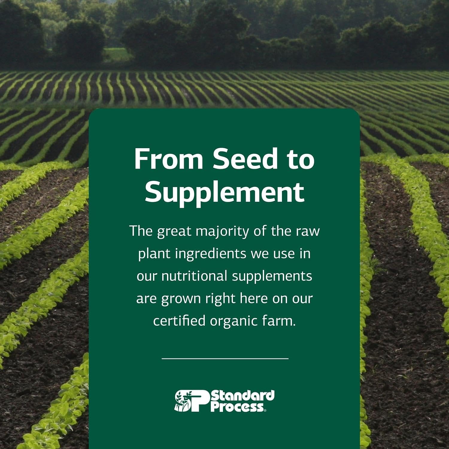 Standard Process Cardio-Plus - Antioxidant and Cardiovascular Support - 330 Tablets