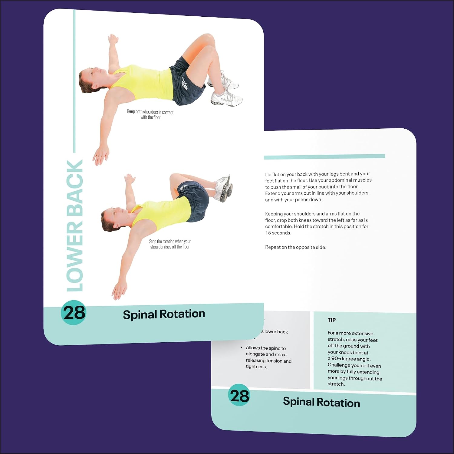 The Stretch Deck: 60 Effective Stretches for Flexibility and Fitness
