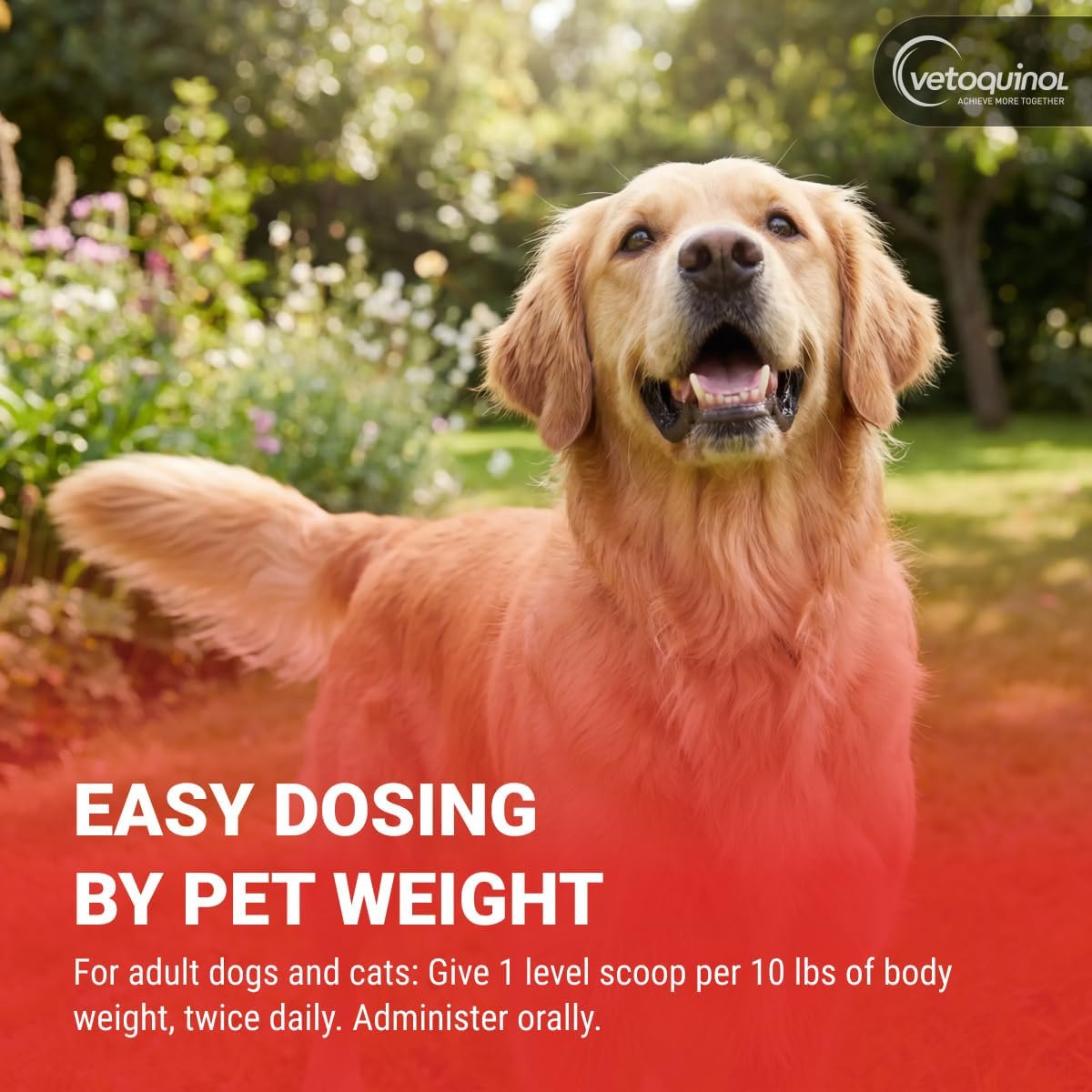 Vetoquinol Renal K - Potassium Supplement Powder for Dogs & Cats - Helps Support Kidney Health - 99 g (3.5 oz)