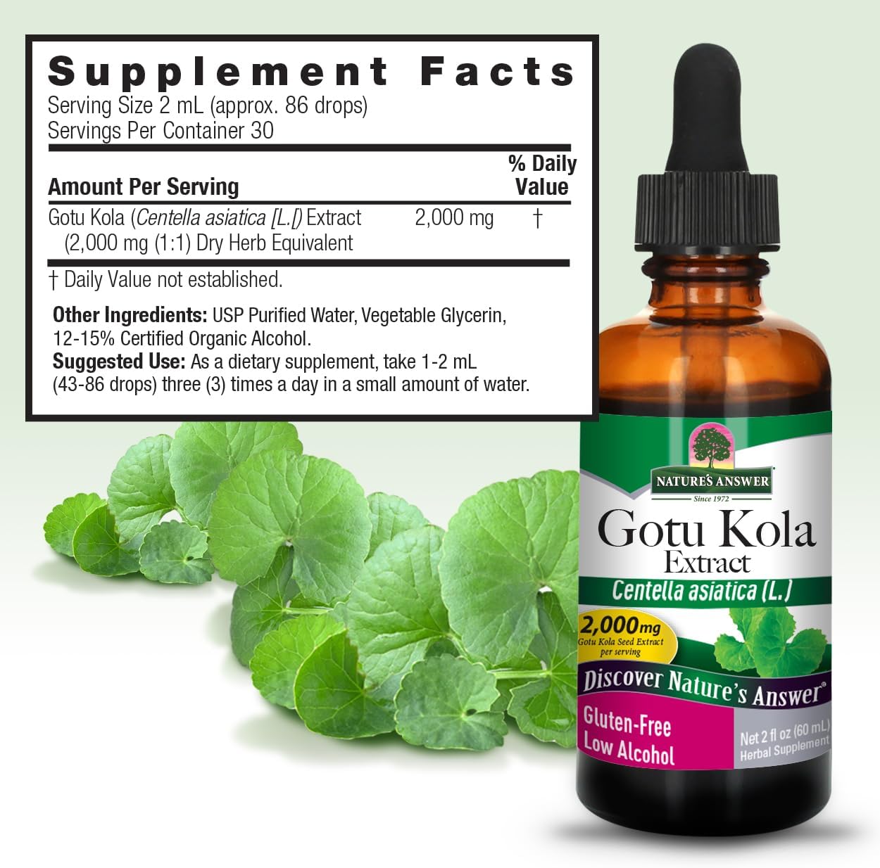 Nature's Answer Gotu-Kola Herb Liquid Extract, 60 mL