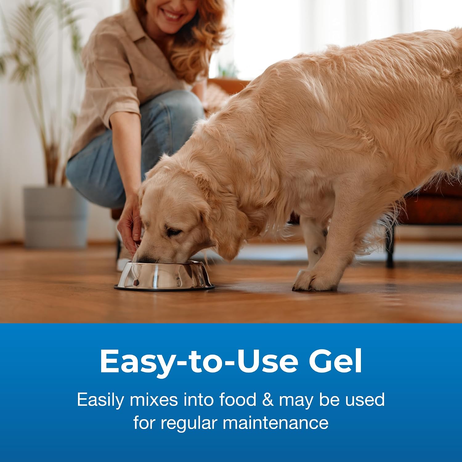 PetAg Bene-Bac Plus Pet Gel (15 g Syringe) – FOS & Probiotics for Dogs, Cats, and Exotic Mammals