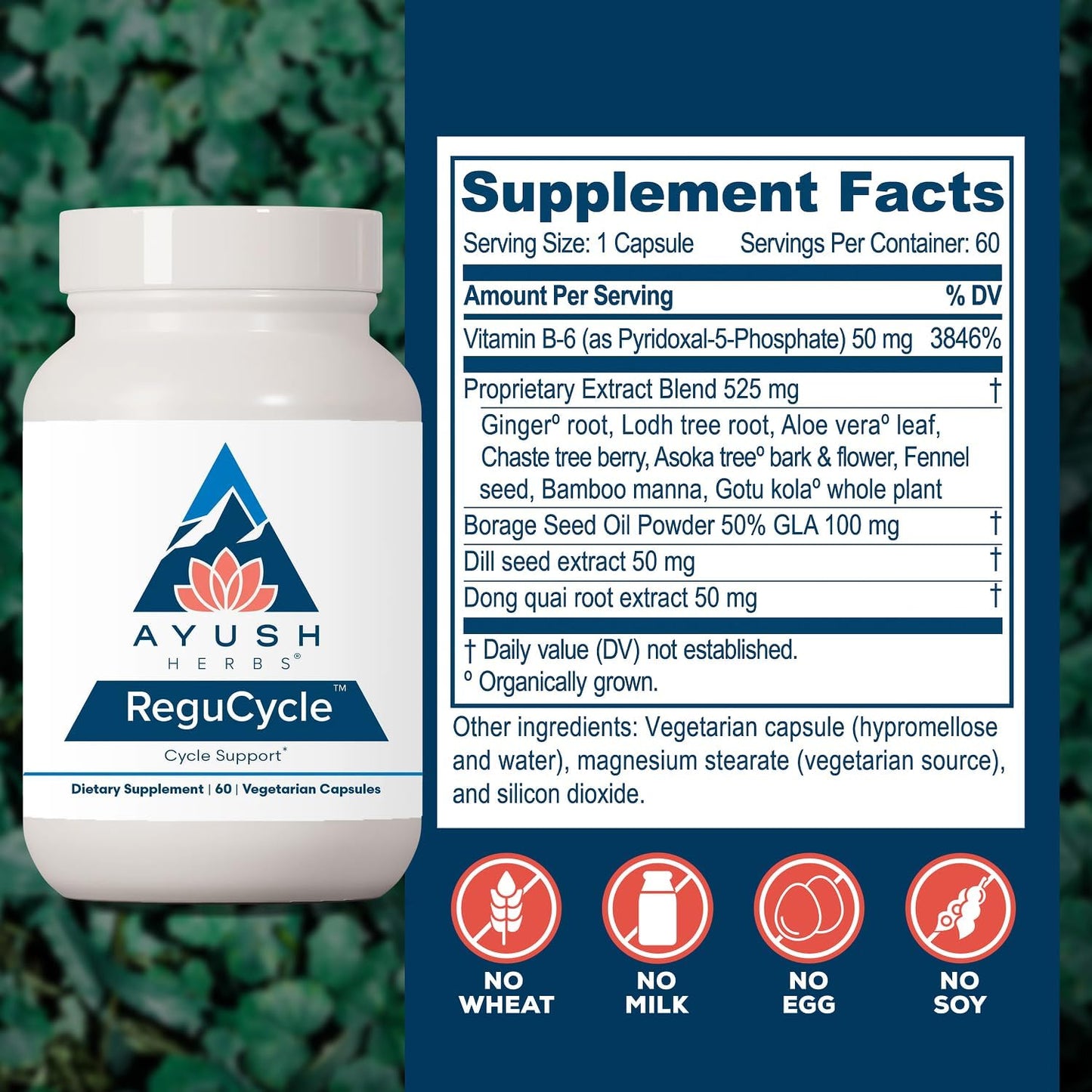 Ayush Herbs Regu-Cycle - Hormone Balance for Women, 60 Capsules - görsel 3