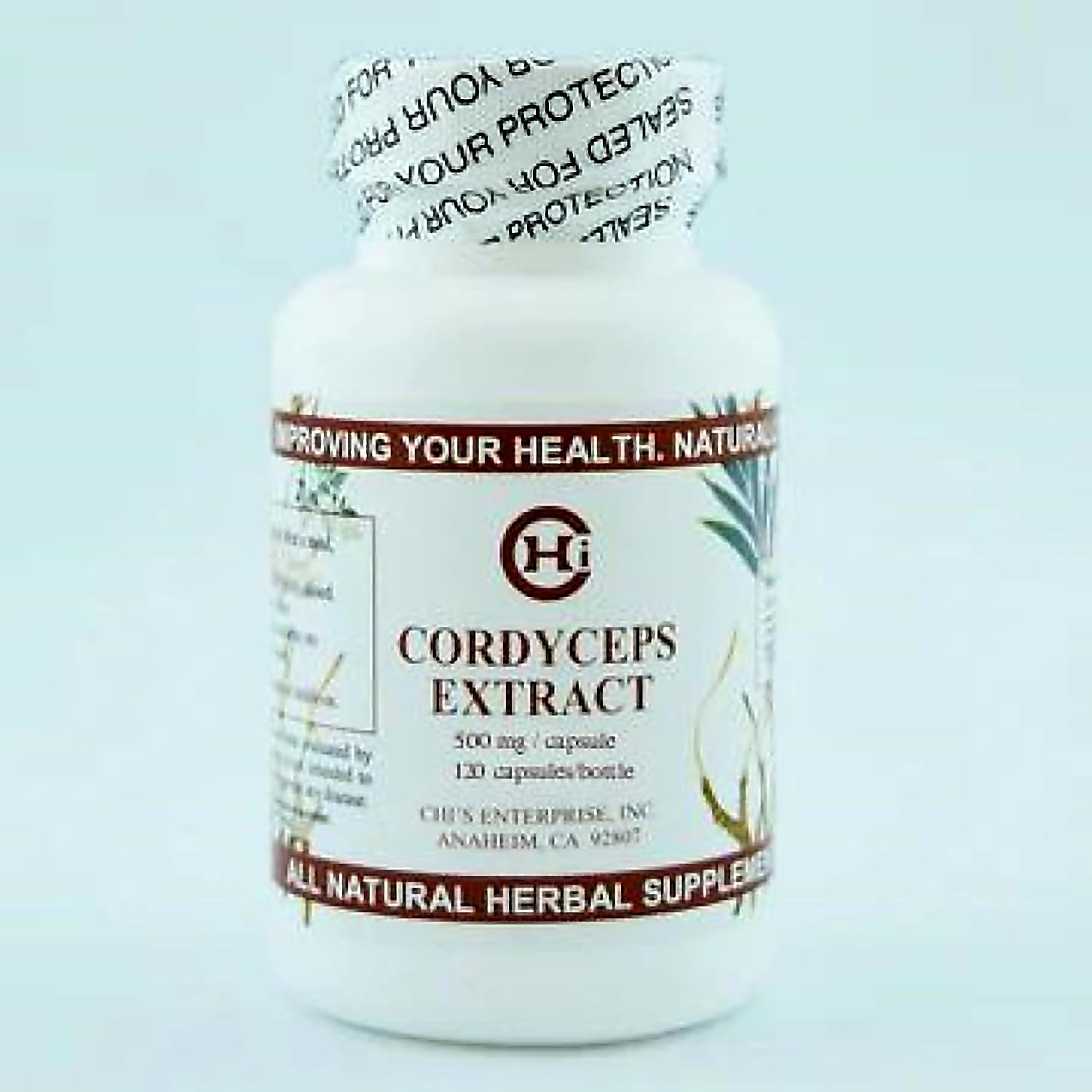 Cordyceps Extract – 120 Capsules