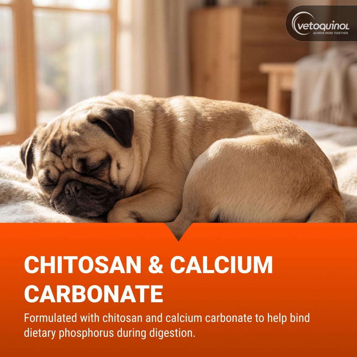 Vetoquinol Epakitin Chitosin-Based Phosphate Binder for Cats & Dogs – Renal Support Supplement Powder - 300g
