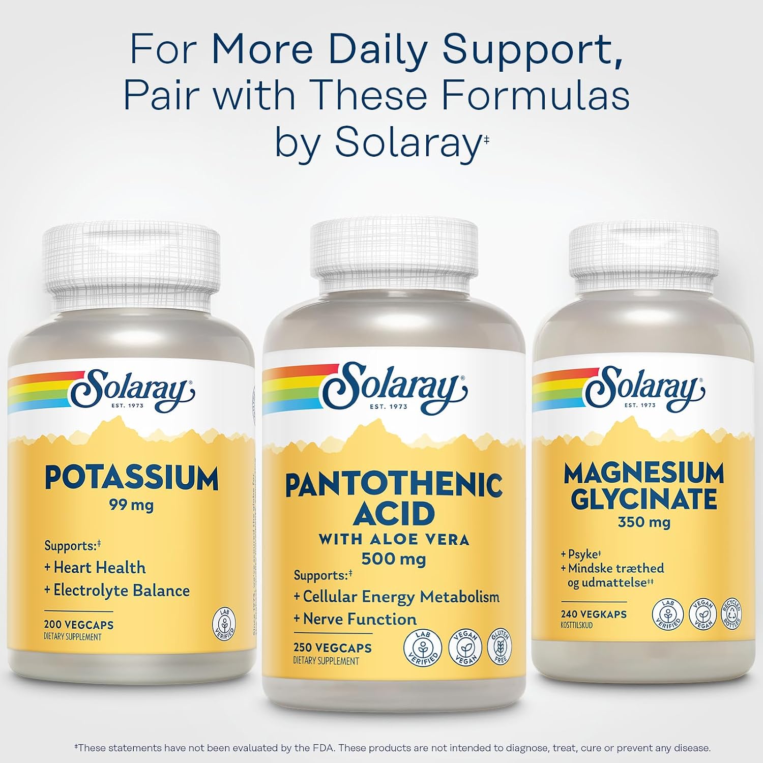 SOLARAY Pantothenic Acid 500mg – Vitamin B5 Supplement for Energy Metabolism Support
