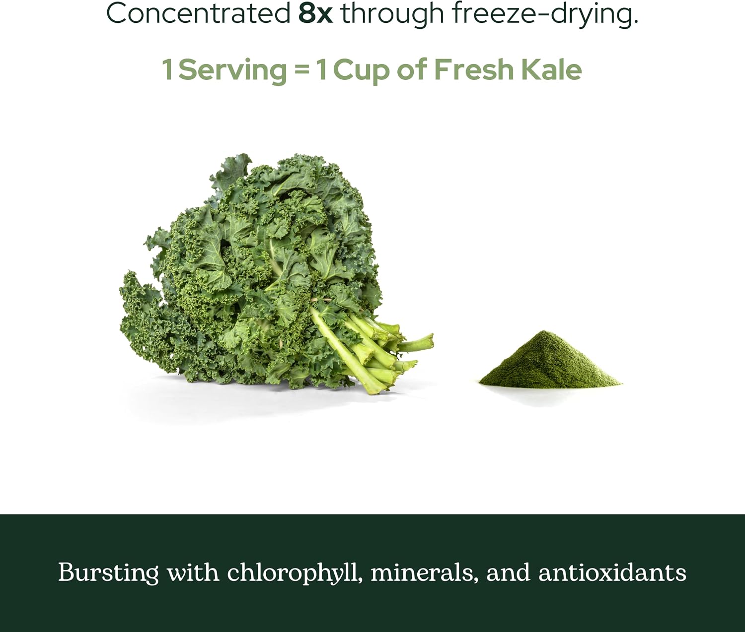 Eclectic Herb Organic Kale Powder - Superfood Supplement (90.7 g)