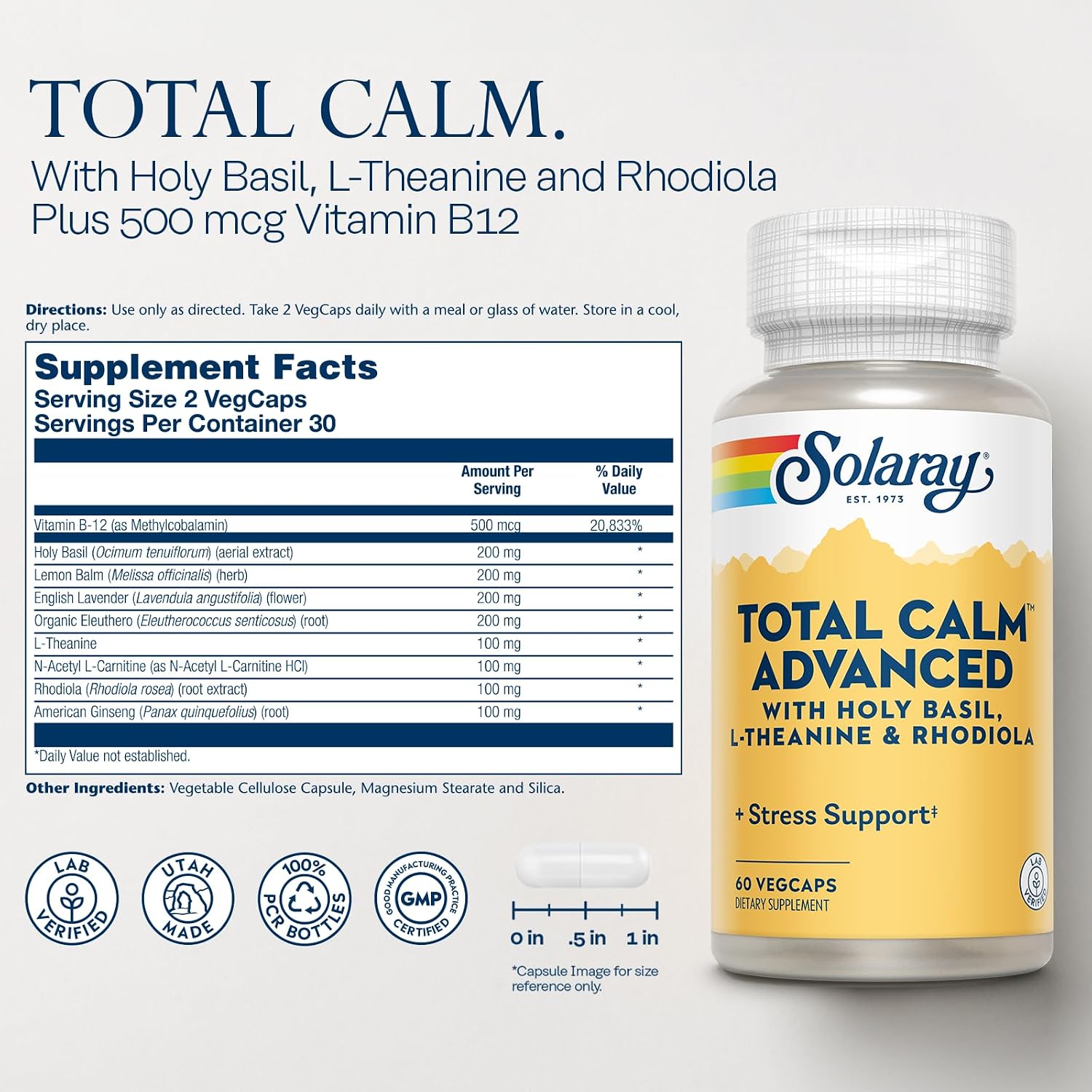 SOLARAY Total Calm Advanced – Nervous System & Cellular Energy Support with Holy Basil, L-Theanine, Rhodiola Rosea, and Vitamin B12