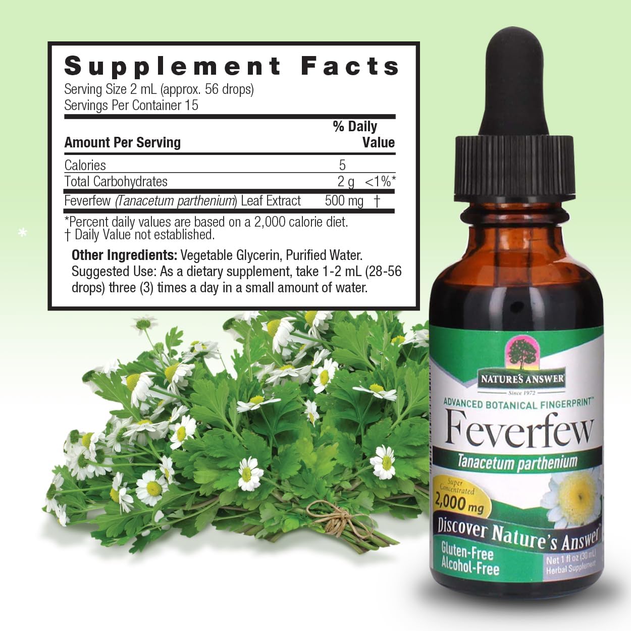Nature's Answer Alcohol-Free Feverfew Extract 2000mg, 30 mL