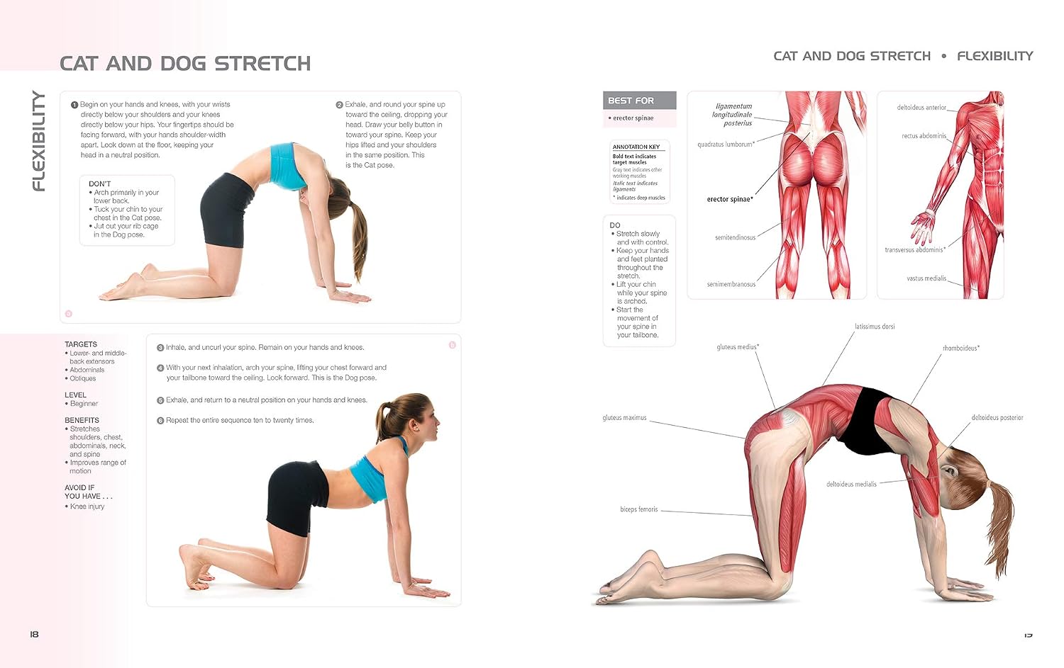 Anatomy of Exercise for Women: A Trainer's Guide to Exercise for Women