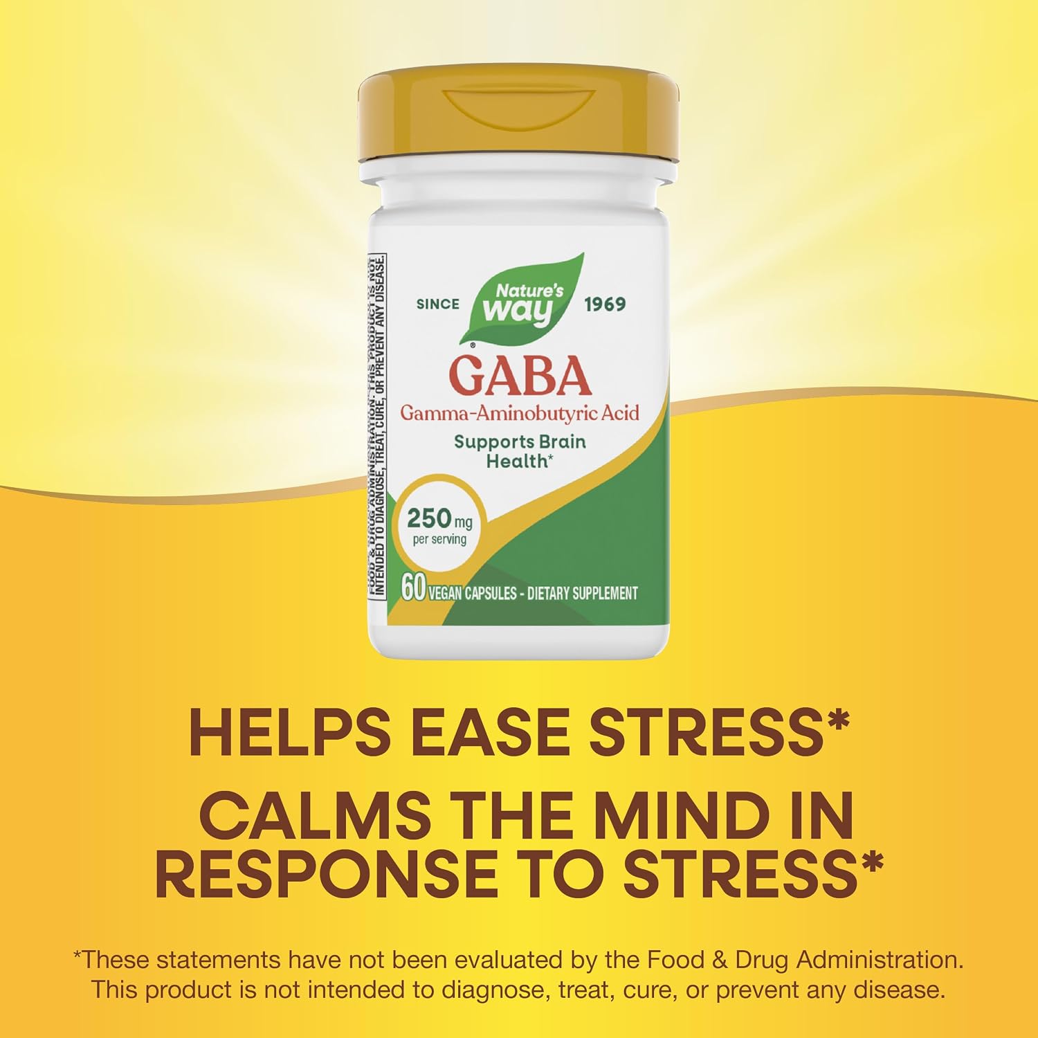 Nature's Way GABA, 250 mg, 60 Vegan Capsules – Supports Brain Health