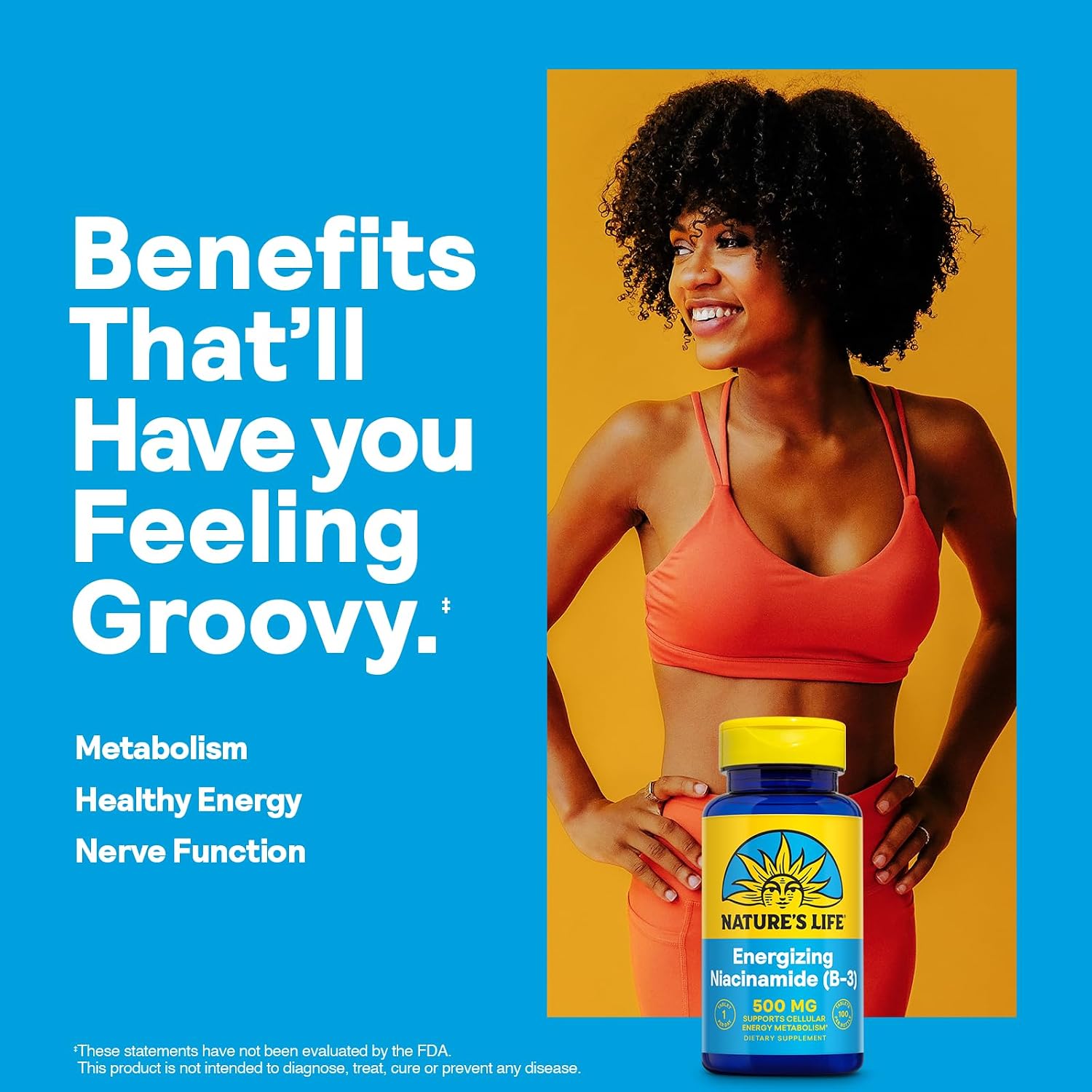 Nature's Life Niacinamide 500 mg – No-Flush Vitamin B3