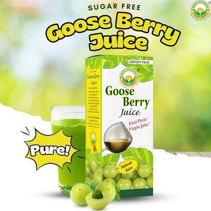 Basic Ayurveda Amla (Gooseberry) Juice | 480 ml | Rich in Natural Vitamin C for Immunity, Skin Glow & Hair Health | Herbal Detox & Daily Ayurvedic Wellness Drink | No Added Sugar