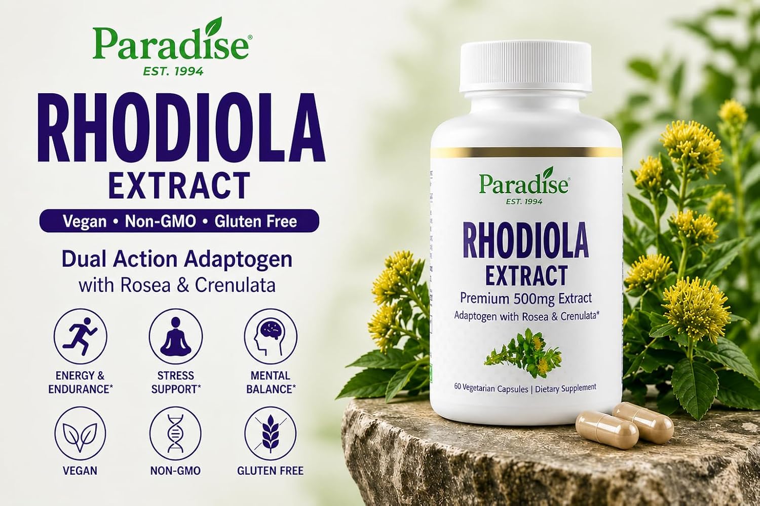 Paradise Herbs Rhodiola Extract 500 mg, Super Potent Antioxidant, Ultra-Pure, Vegan, Non-GMO, Gluten-Free, 60 Vegetarian Capsules