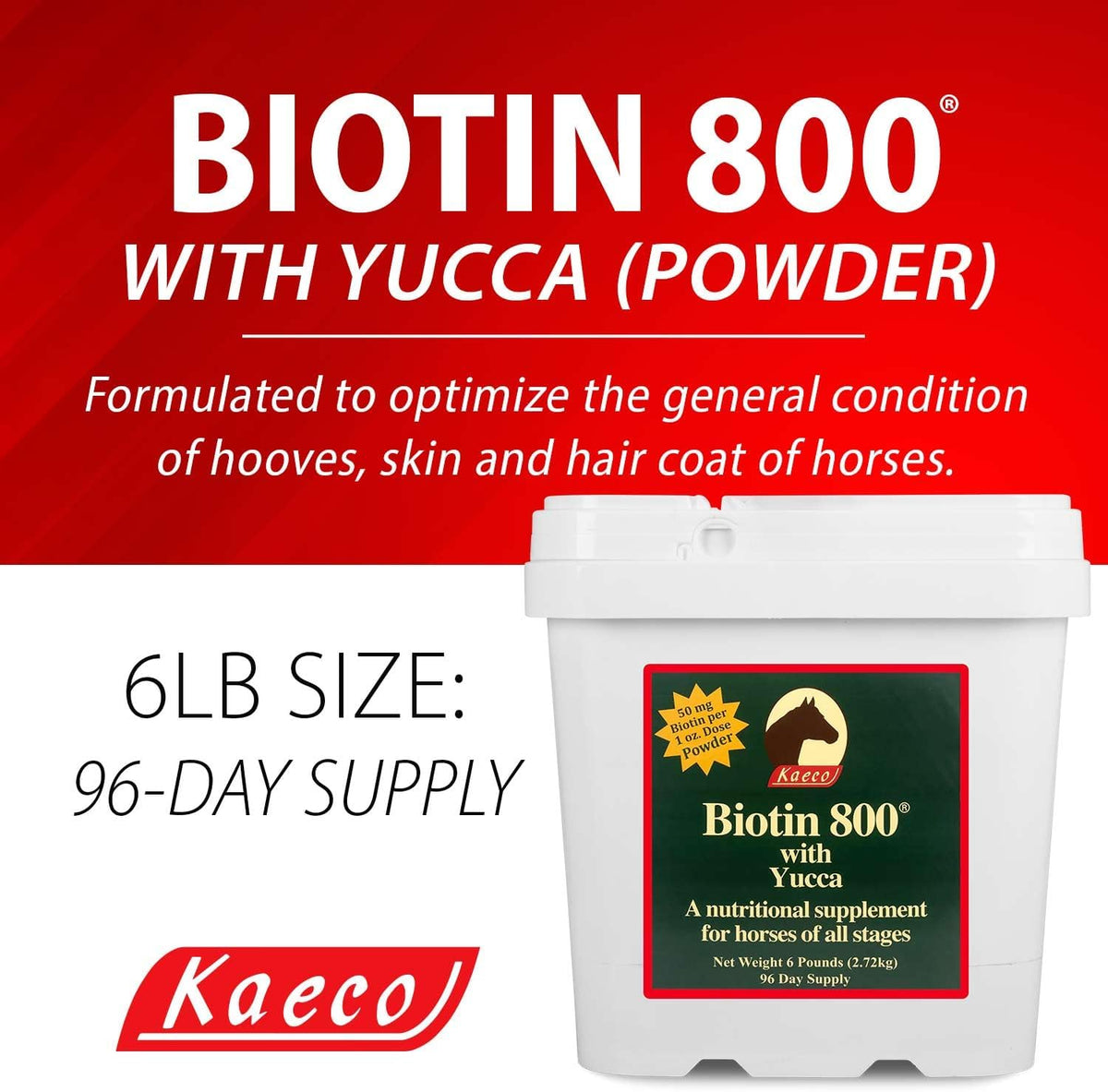 Biotin 800 Powder, 2.72 kg - görsel 2