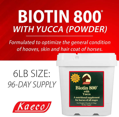 Biotin 800 Powder, 2.72 kg