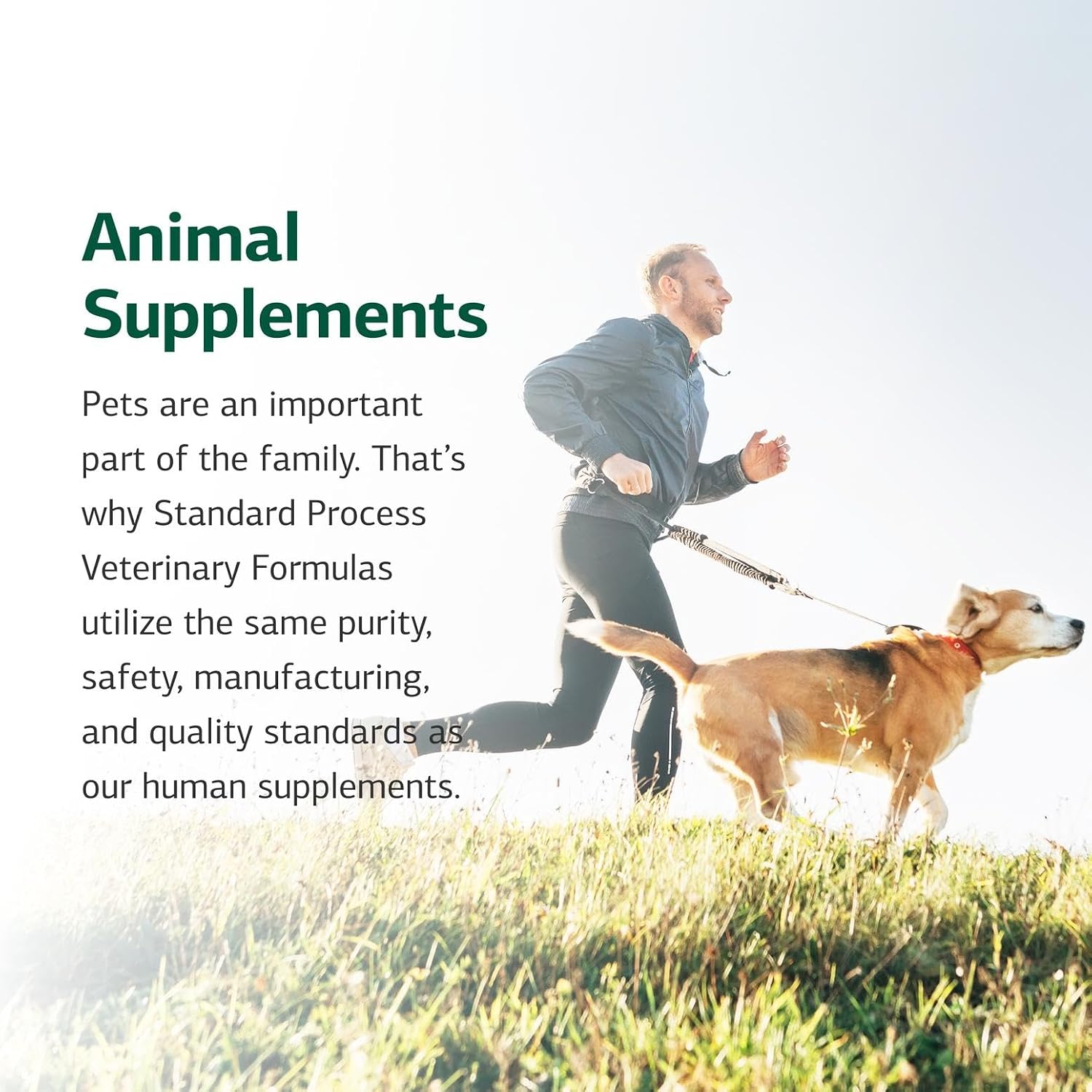 Standard Process Canine Enteric Support – Digestive Supplement for Dogs