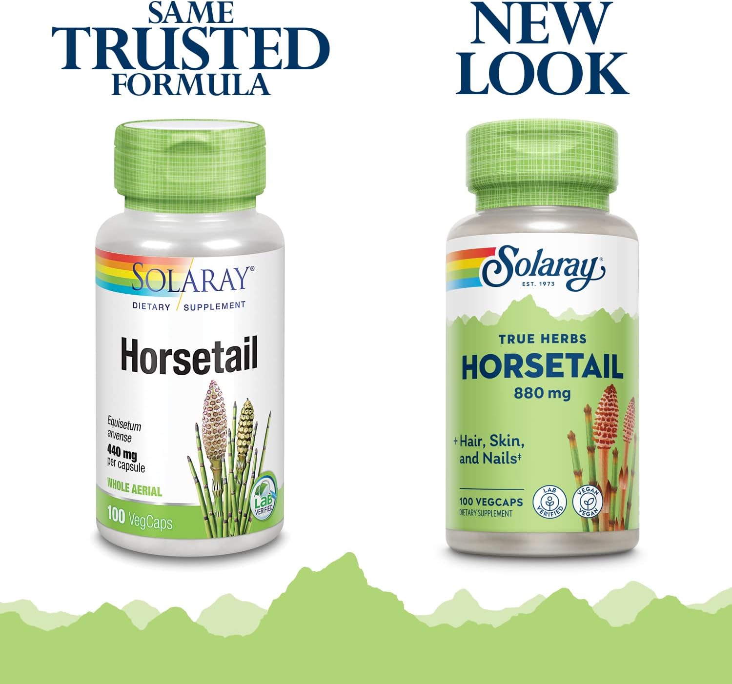 Solaray Horsetail 880 mg - Natural Silica Supplement for Hair, Skin & Nails - 100 Vegan Capsules