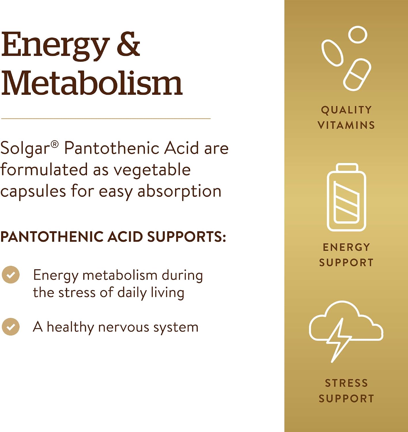 Solgar Pantothenic Acid 550 mg, 100 Vegetable Capsules – Vitamin B5