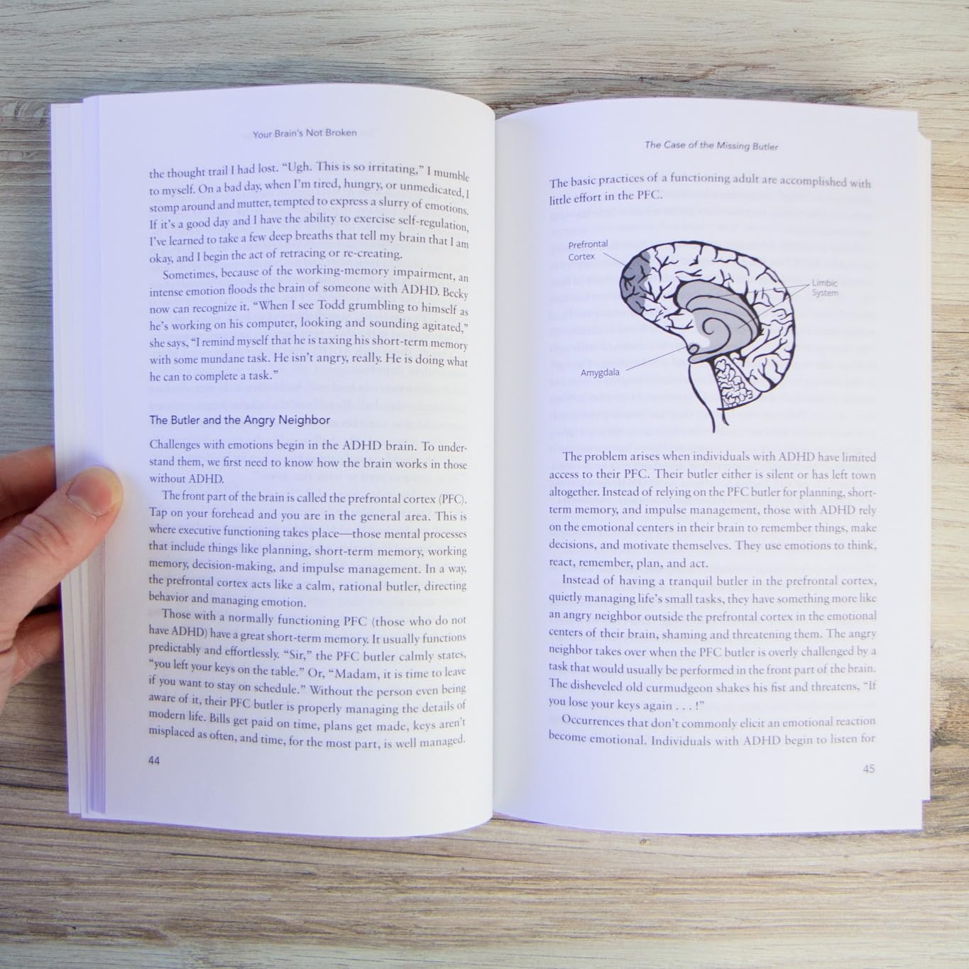 Your Brain's Not Broken: Strategies for Navigating Your Emotions and Life with ADHD – A Guide and Workbook for Adults and Parents – Canadian Edition