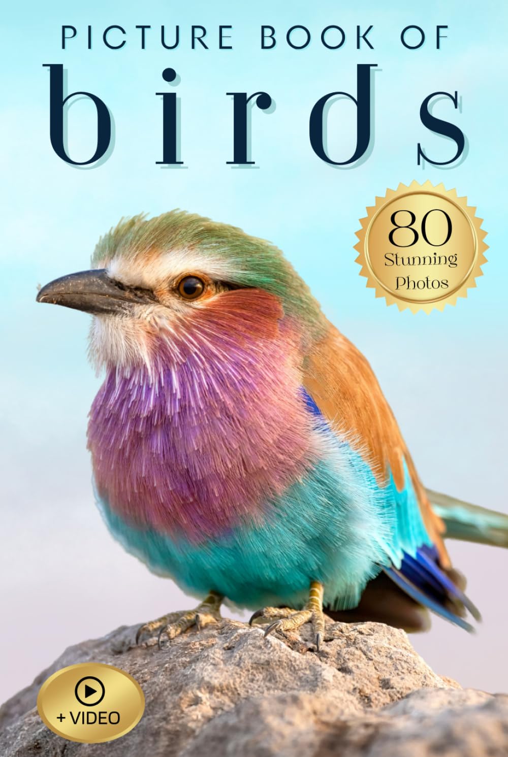 Picture Book of Birds: Hardcover Premium Gift Edition / Keepsake for Seniors, Curious Kids, and Nature-Loving Families (Uplifting Picture Books)