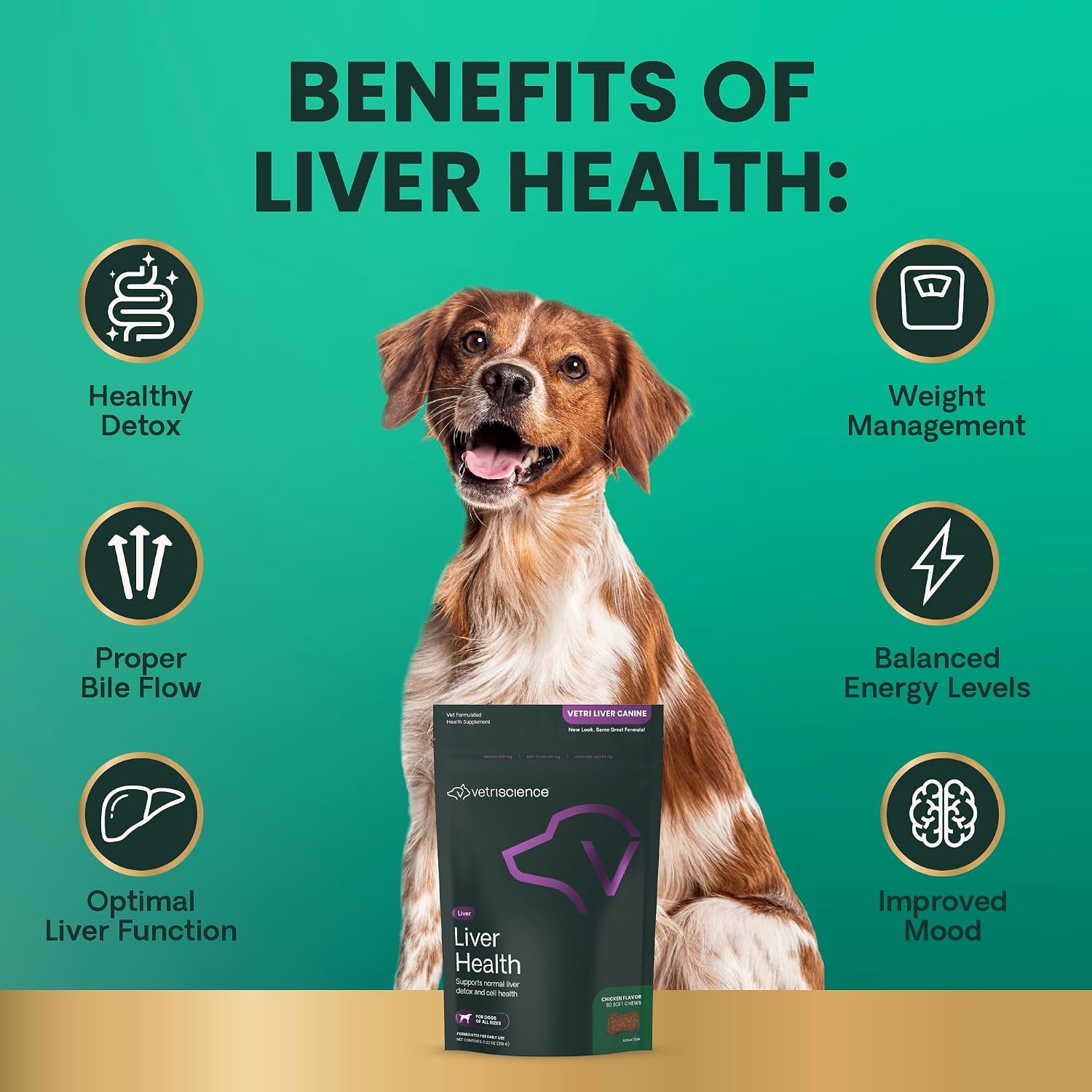 VetriScience Liver Health Chews with Milk Thistle - Liver Support Supplement for Dogs - 60 Count