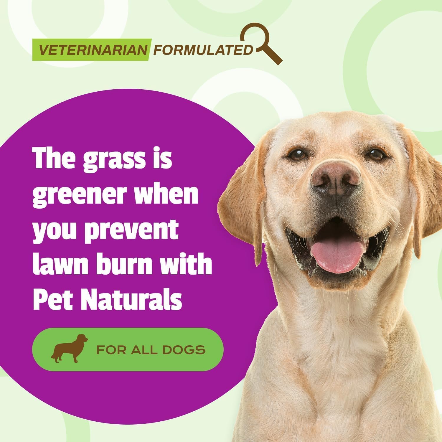 Pet Naturals Lawn Aid Soft Chews for Dogs – Chicken Flavour – 60 Count