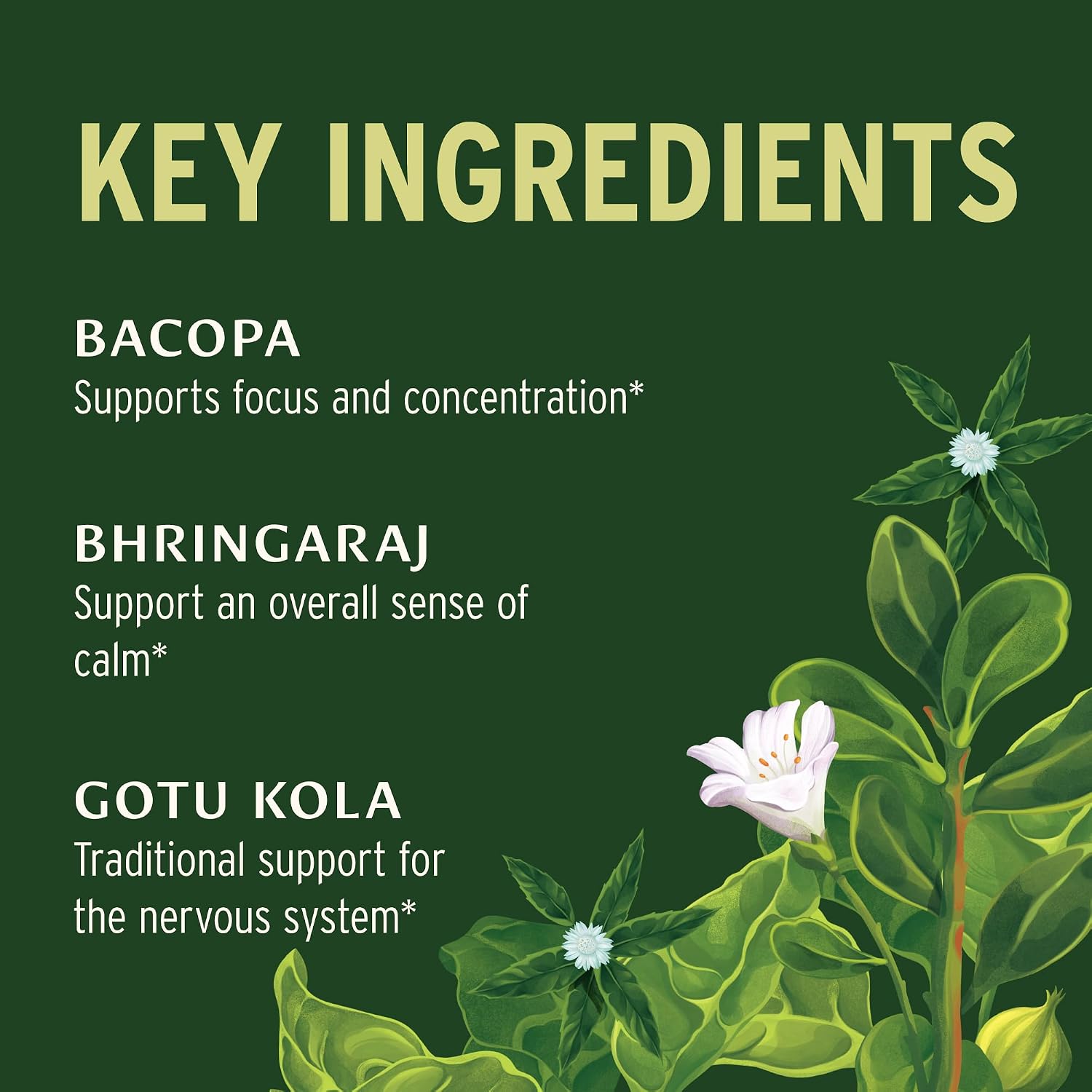 Banyan Botanicals Organic Mental Clarity – Herbal Support for Alertness & Focus – 90 Tablets - görsel 5
