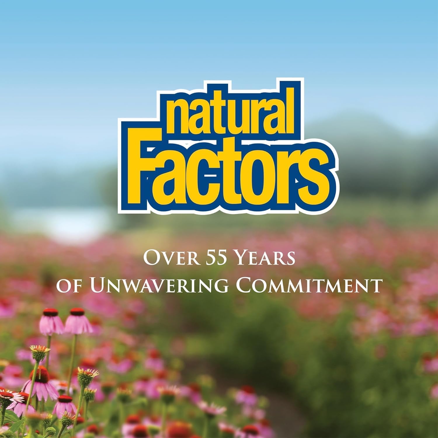 Natural Factors Vitamin C Time Release – 1000 mg, 180 Tablets