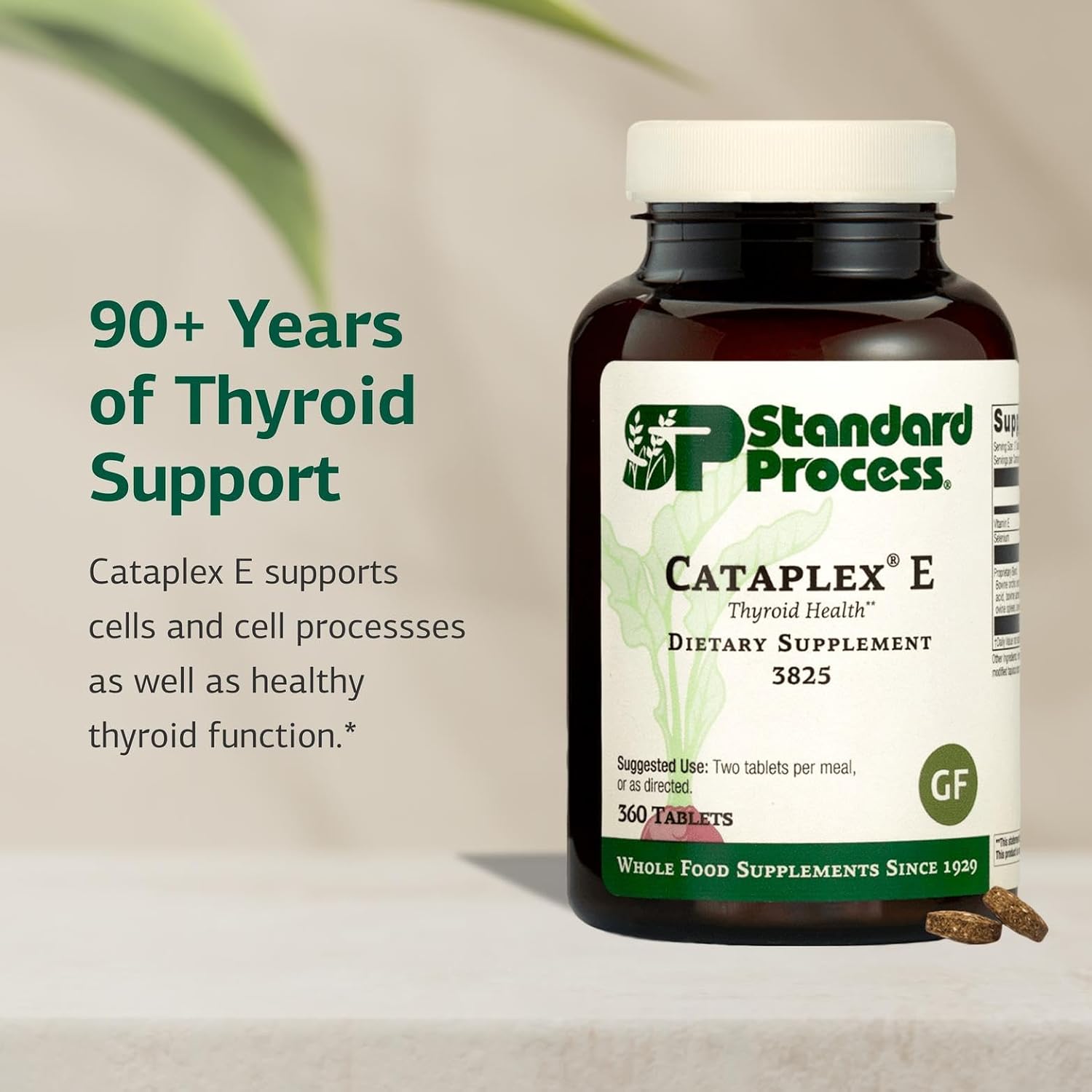 Standard Process Cataplex E Thyroid Health Supplement - Gluten-Free, Non-Dairy & Non-Soy - Endocrine Support - 360 Tablets