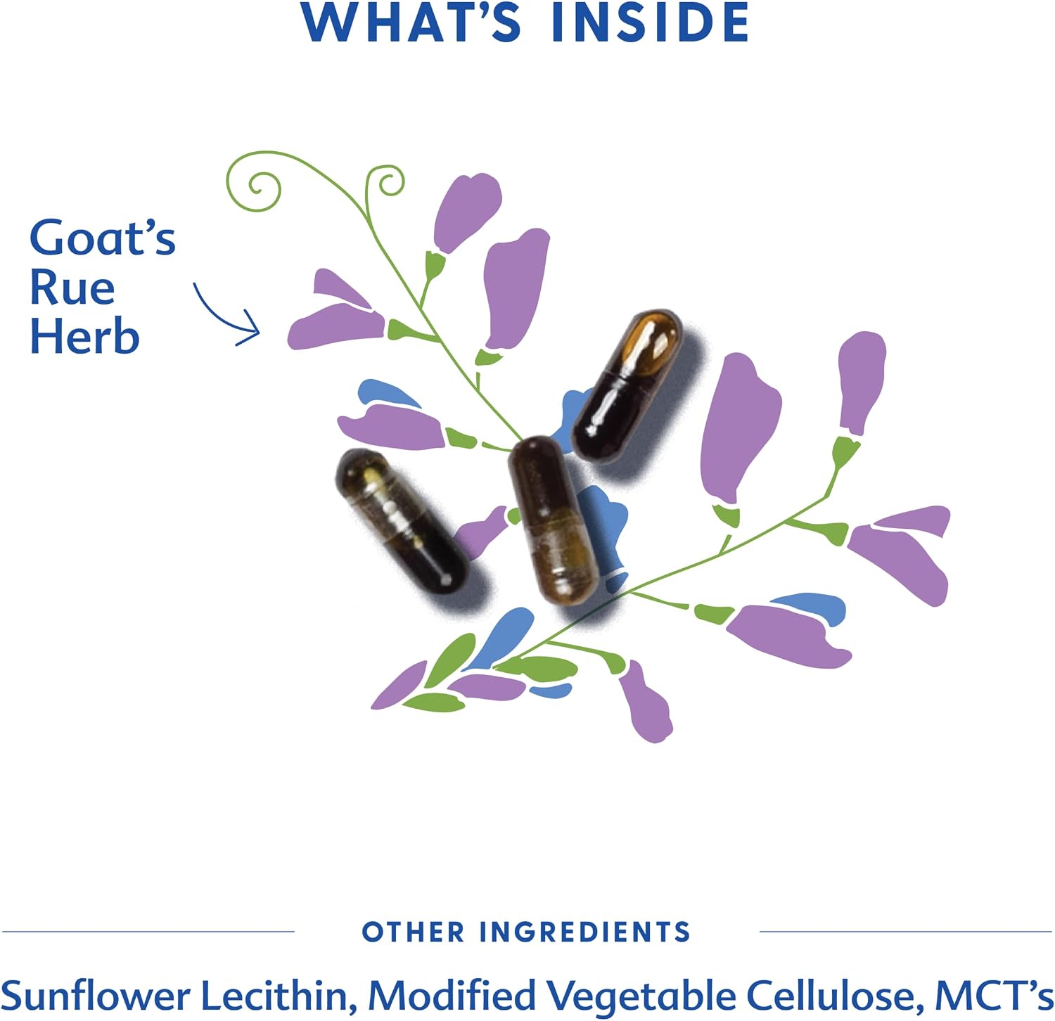 Motherlove Goat's Rue Liquid Capsules – Breastfeeding Support
