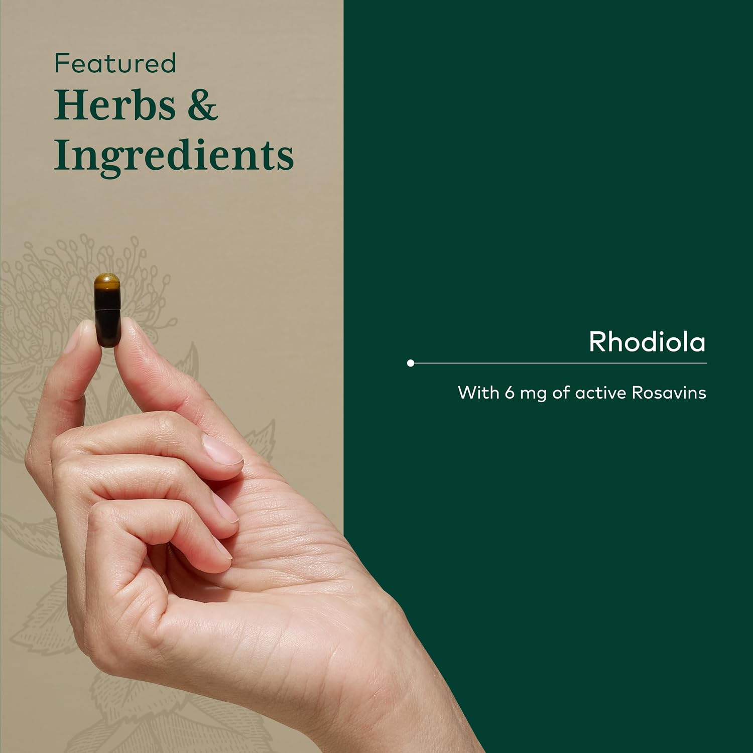 Gaia Herbs PRO Rhodiola Root Extract – Adaptogen for Energy & Stress Support – 60 Phyto-Caps