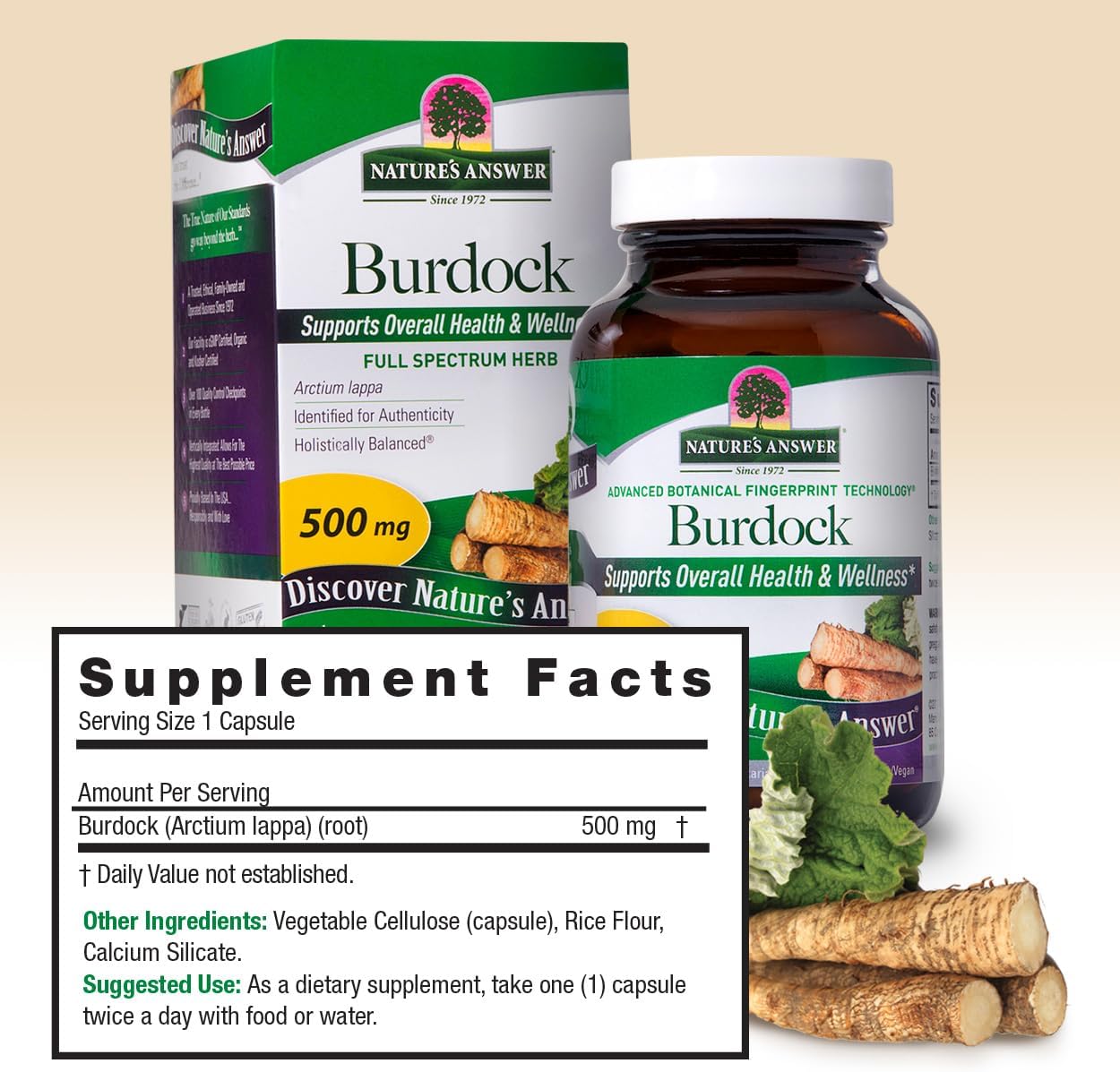 Nature's Answer Burdock Root, 90 Capsules - Antioxidant Defense