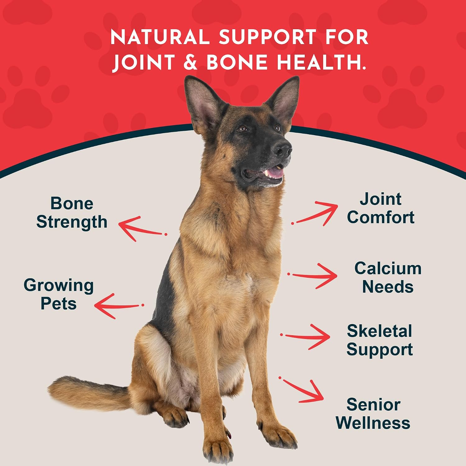 Sea-Cal Pure Seaweed Calcium Powder for Dogs & Cats with Magnesium - 340 g
