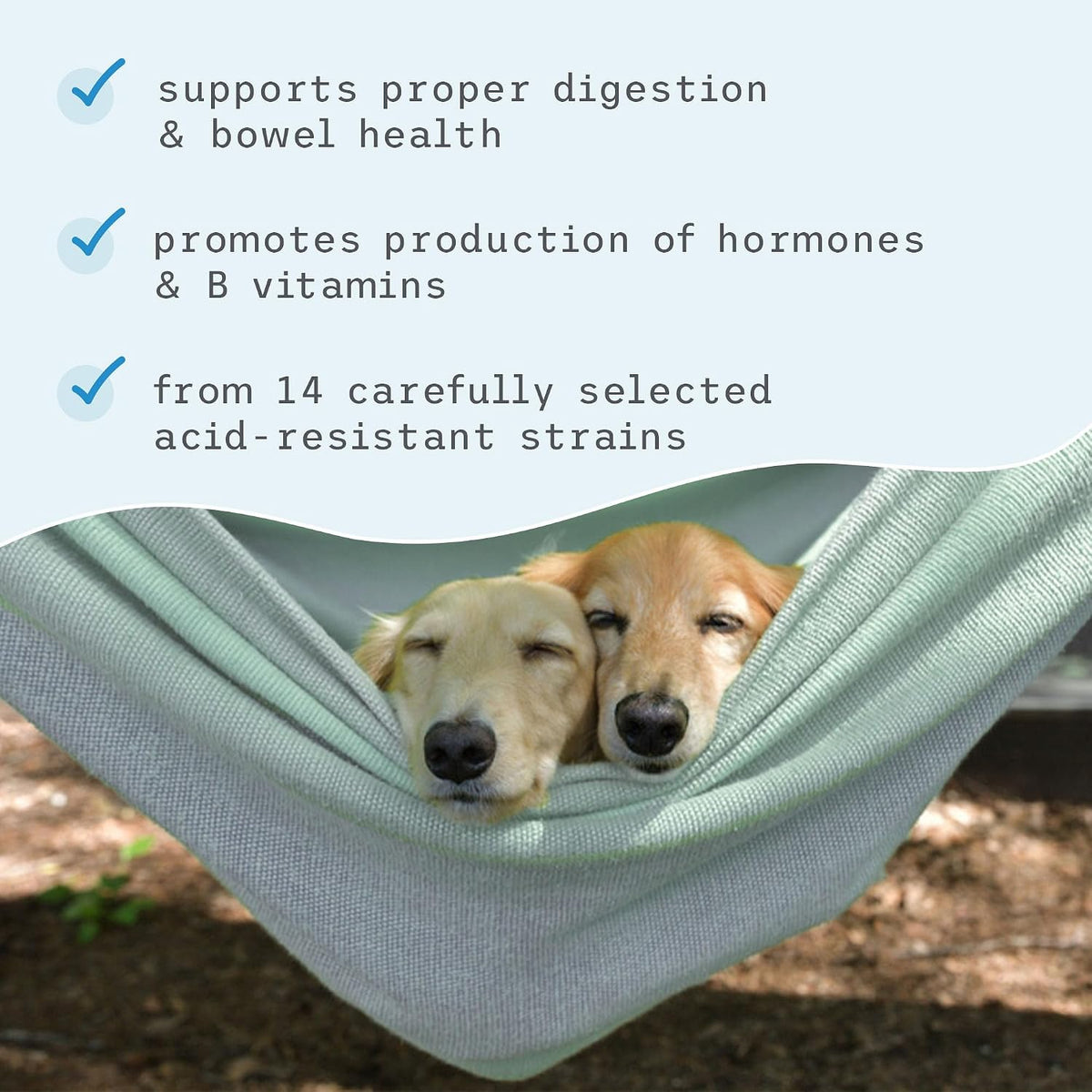 Bark & Whiskers Complete Probiotics for Cats and Dogs, 3.17 oz (90 g) - görsel 5