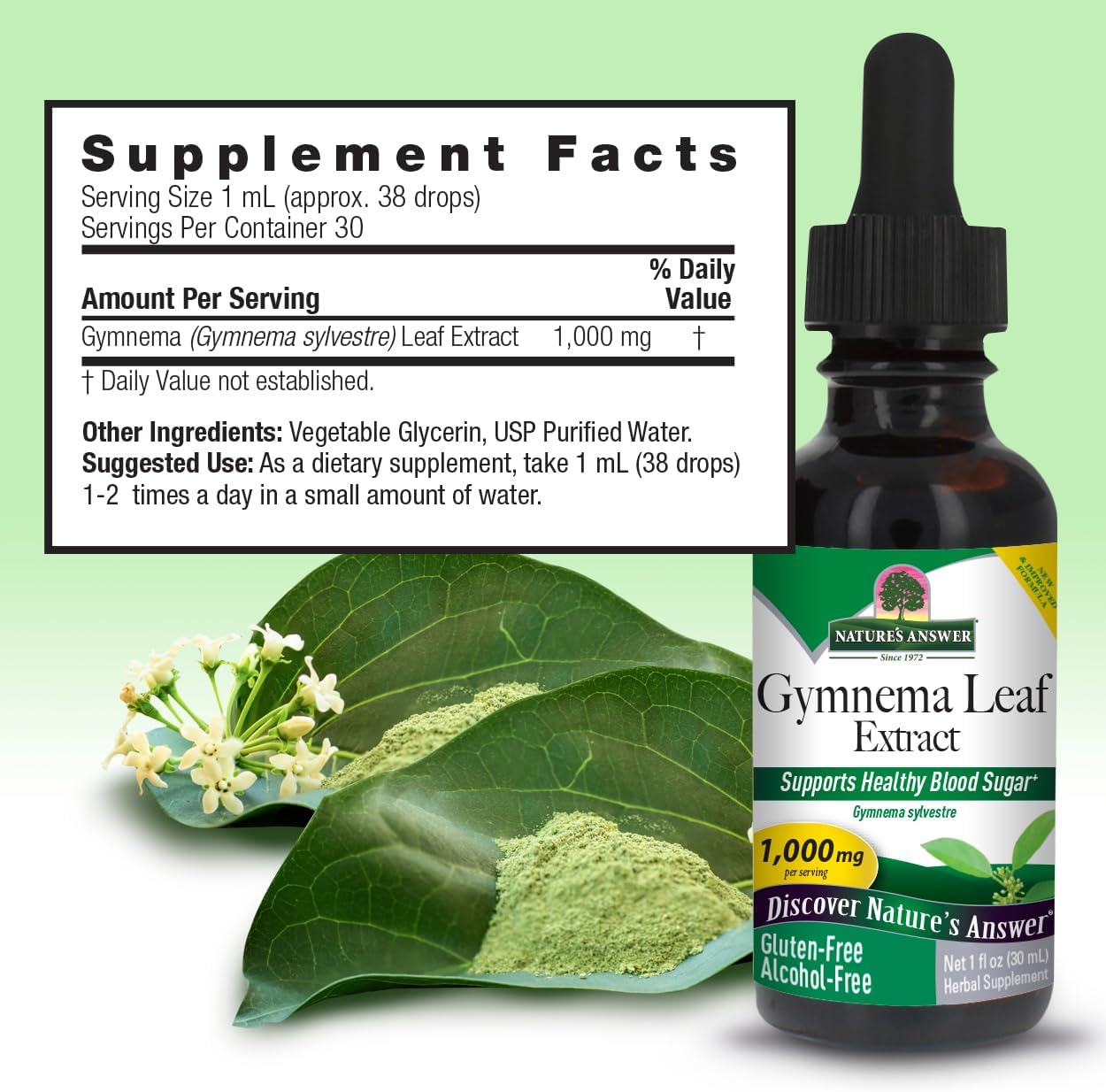 Nature's Answer Alcohol-Free Gymnema Leaf Extract, 30 ml
