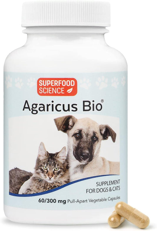 Agaricus Bio 300mg for Dogs and Cats – Beta Glucan Mushroom Pet Supplement, 60 Capsules