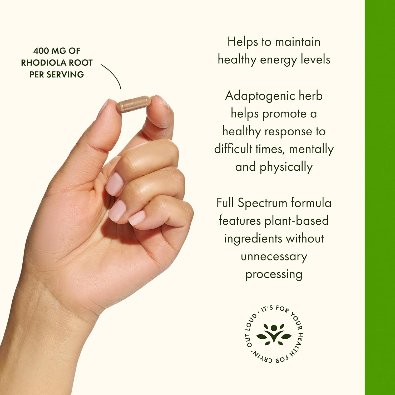 Swanson Rhodiola Rosea Root - Adaptogenic Herb Supplement for Stress Support & Energy - 400 mg, 100 Capsules