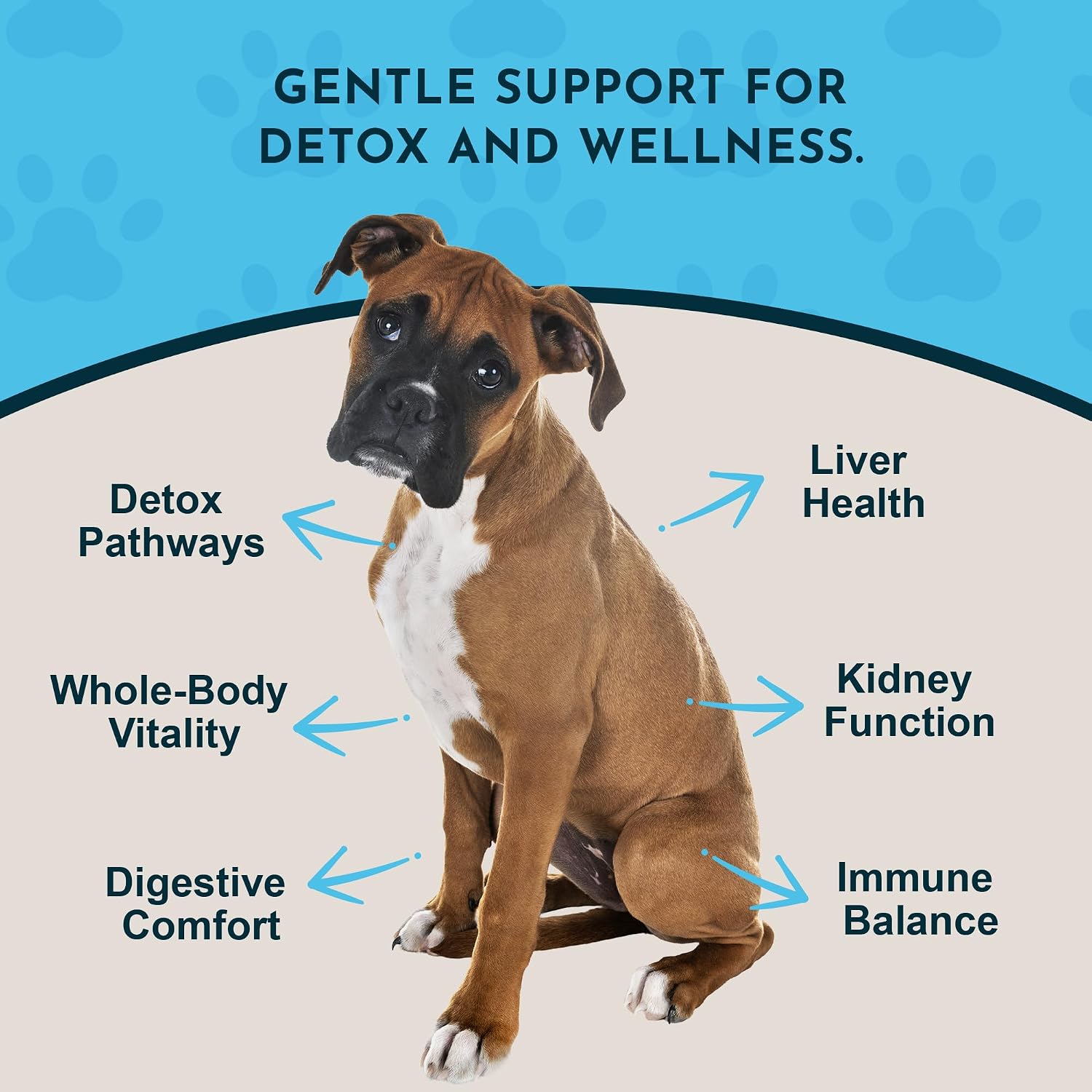 Animal Essentials Detox Blend - Liver Support for Dogs & Cats - Organic Herbal Formula - 30 mL