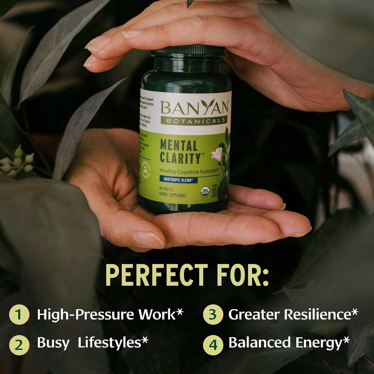 Banyan Botanicals Organic Mental Clarity – Herbal Support for Alertness & Focus – 90 Tablets - görsel 2