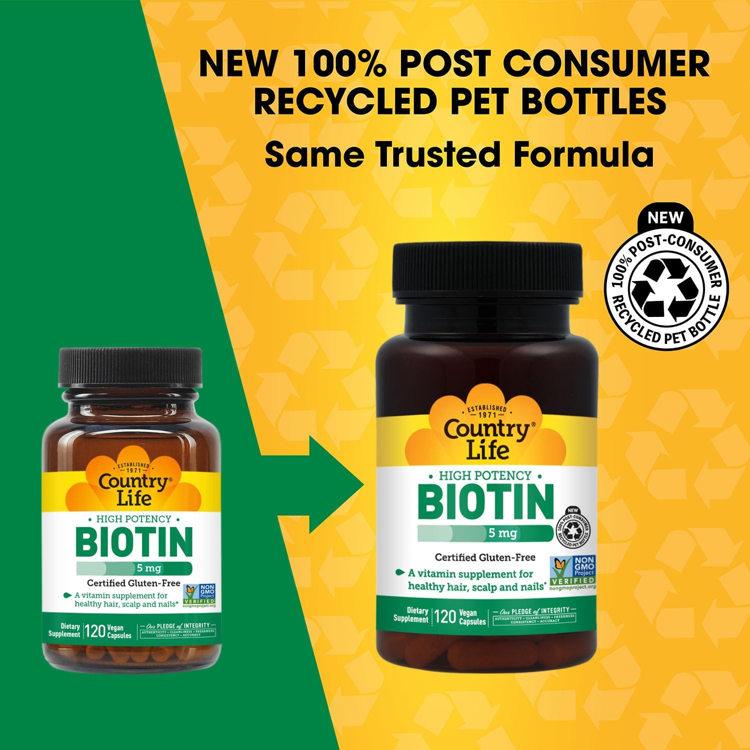 Country Life Biotin High Potency, 5 mg, 120 Tablets