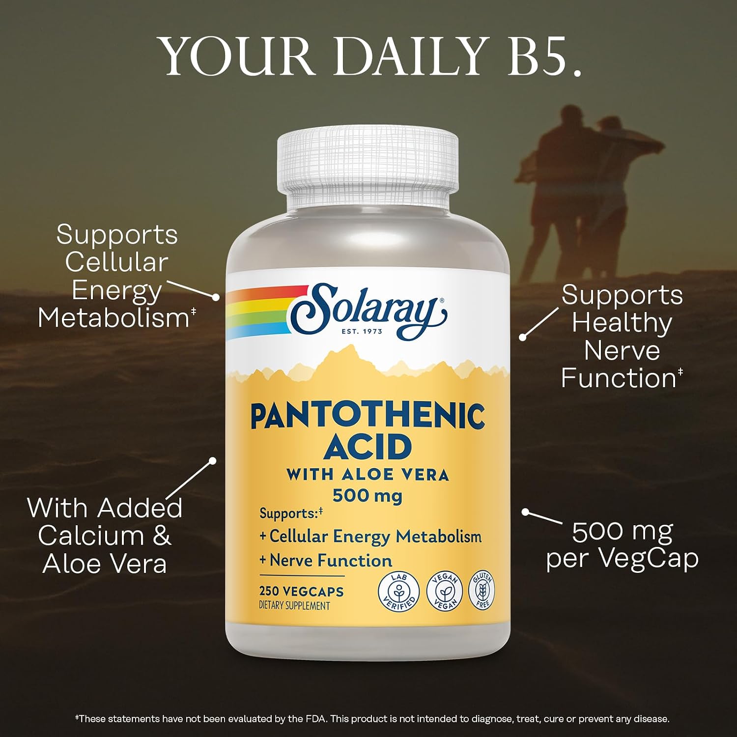 SOLARAY Pantothenic Acid 500mg – Vitamin B5 Supplement for Energy Metabolism Support