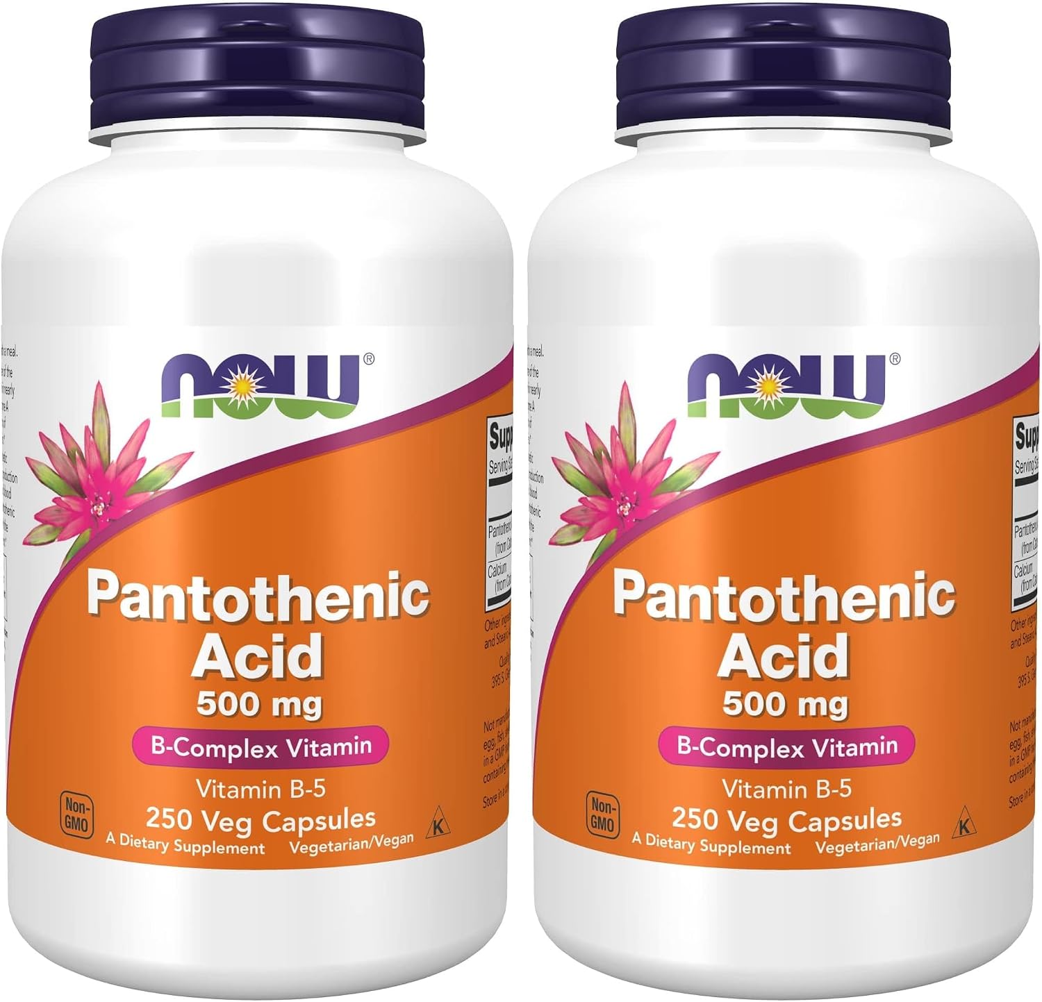 NOW Foods Pantothenic Acid (Vitamin B5) 500 mg, 250 Capsules