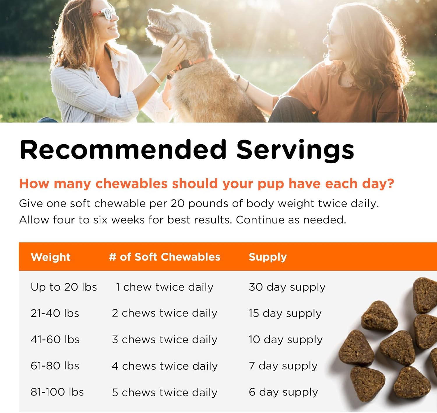 Nutri-Vet Shed Defense Soft Chews for Dogs – Omega-3 Fish Oil Skin & Coat Supplement, 60 Chews
