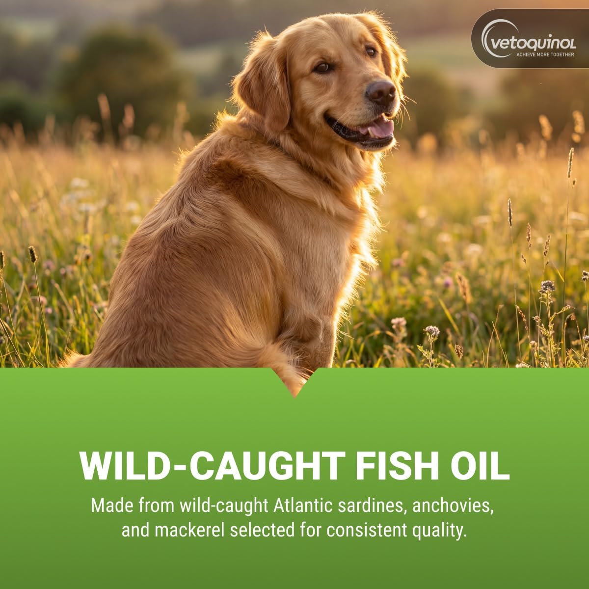 Vetoquinol Triglyceride Omega – Fish Oil for Dogs & Cats, 60 Softgels