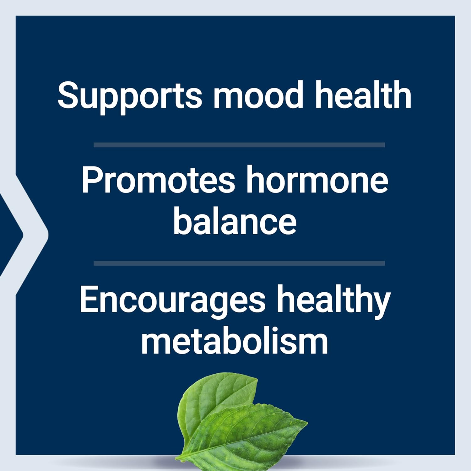 Life Extension Inositol Caps – 1000 mg, Myo-Inositol – Mood Health, Wellbeing, Healthy Metabolism, Hormone Balance – Gluten-Free, Non-GMO, Vegetarian – 360 Capsules