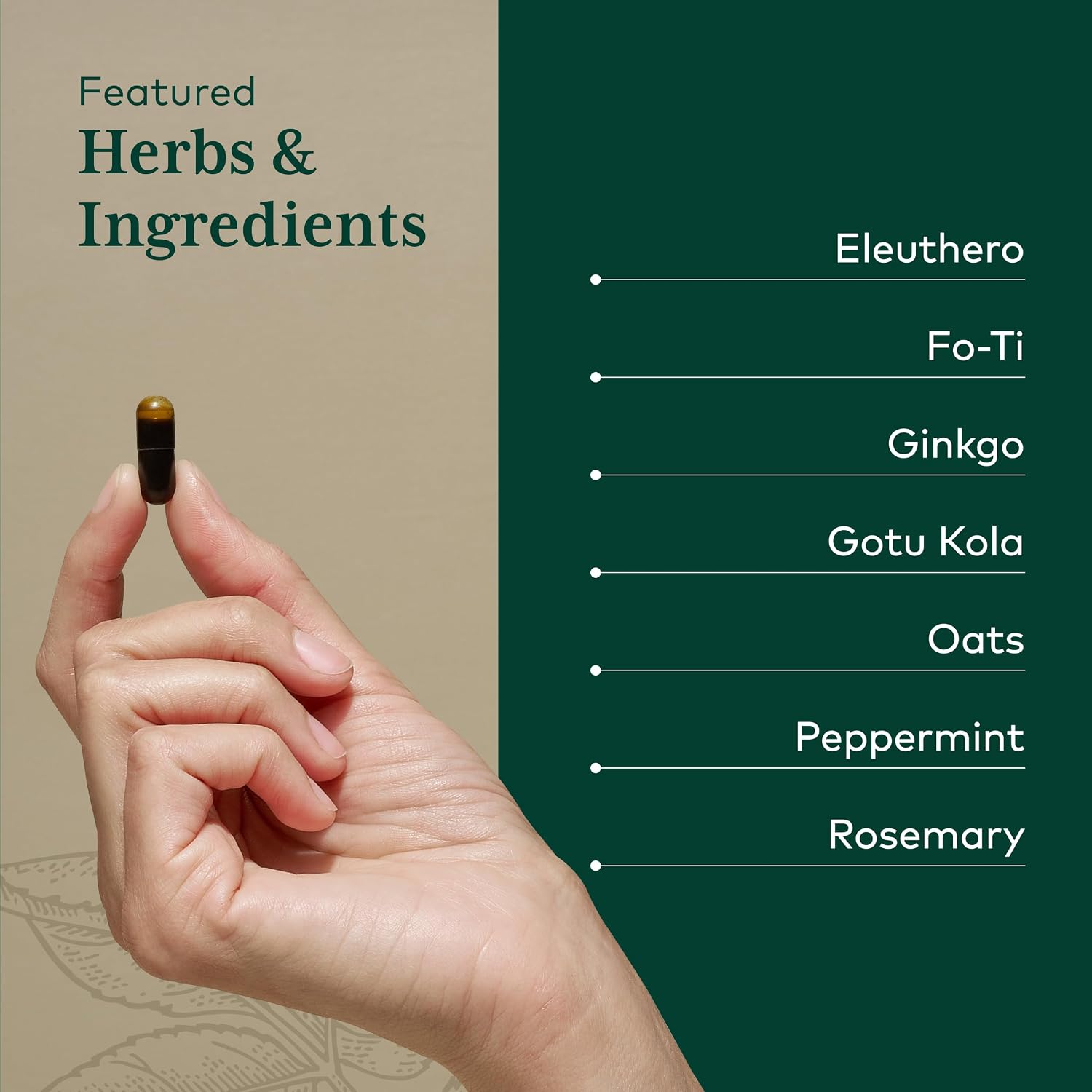 GAIA HERBS PRO Cognitive Formula – Brain Health & Blood Flow Support with Fo-Ti Root, Ginkgo Leaf, & Gotu Kola Leaf – 60 Liquid Phyto-Caps (30 Servings)